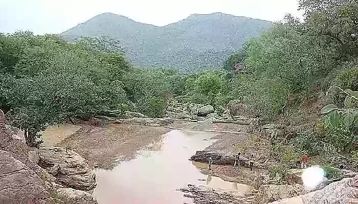 vellore zoological park