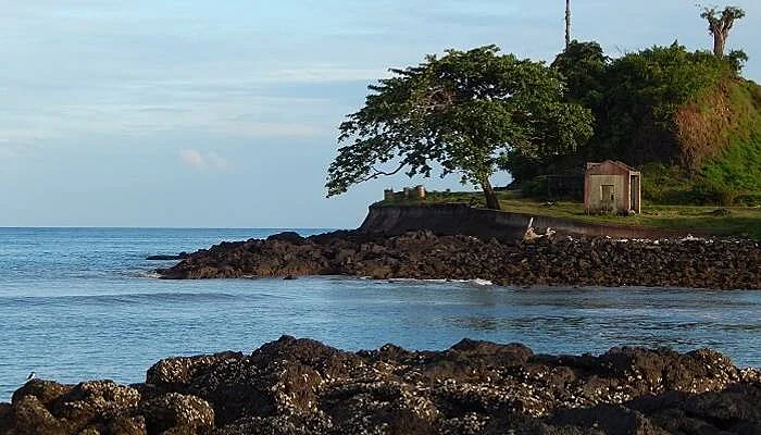 Corbyn's Cove Corbyn's Cove