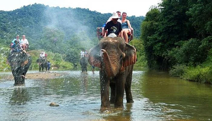 Enjoy Elephant Safari at Mount Harriet, Port Blair Enjoy Elephant Safari at Mount Harriet, Port Blair