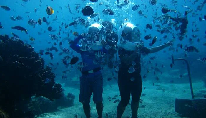 North Bay Beach - walk under the sea with colorful fishes North Bay Beach - walk under the sea with colorful fishes