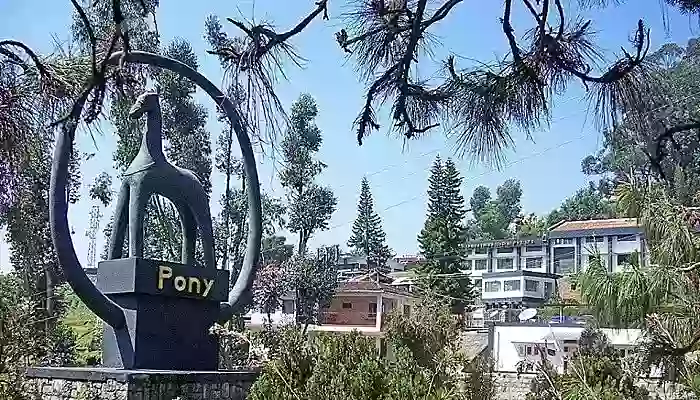 Pony Needles In Coonoor 30/10/19