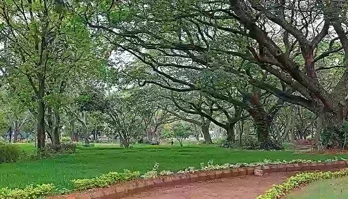 Sanjeevani park Sanjeevani park