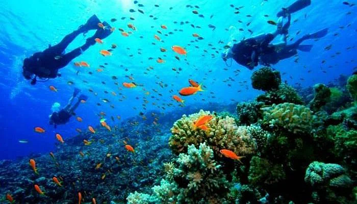 Scuba Diving and Snorkelling- popular things to do in Andaman Scuba Diving and Snorkelling- popular things to do in Andaman