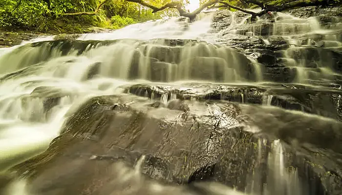 waterfall in a jungle