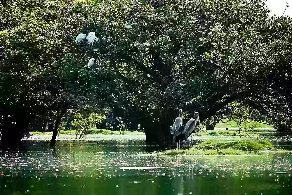 Vedanthangal Tourism Vedanthangal Tourism