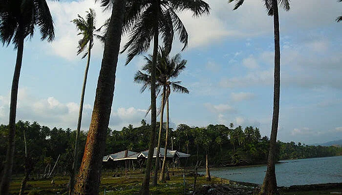 Viper Island Viper Island