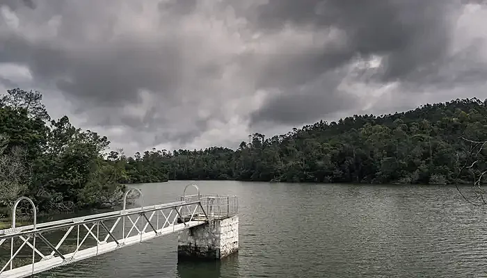 a bridge extending in a lake