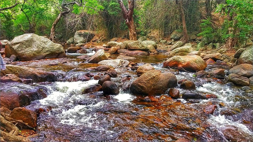 Thalayanai Waterfalls At Kalakad In Tirunelveli Thalayanai Waterfalls At Kalakad In Tirunelveli