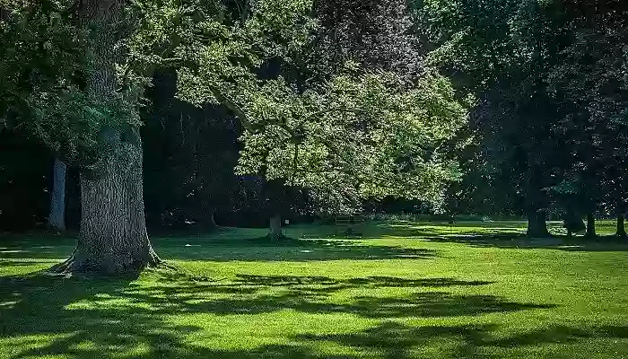 Periyar Park Periyar Park