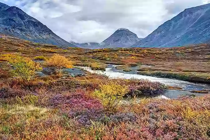 The Russian tundra